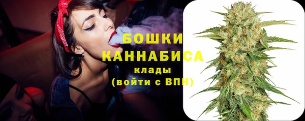 гидра Абаза