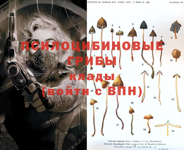 синтетический гашиш Абинск