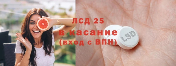 гидра Абаза