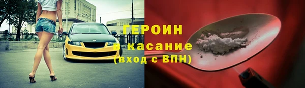 гидра Абаза