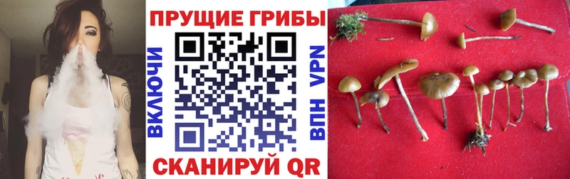 Псилоцибиновые грибы мухоморы mega Северодвинск