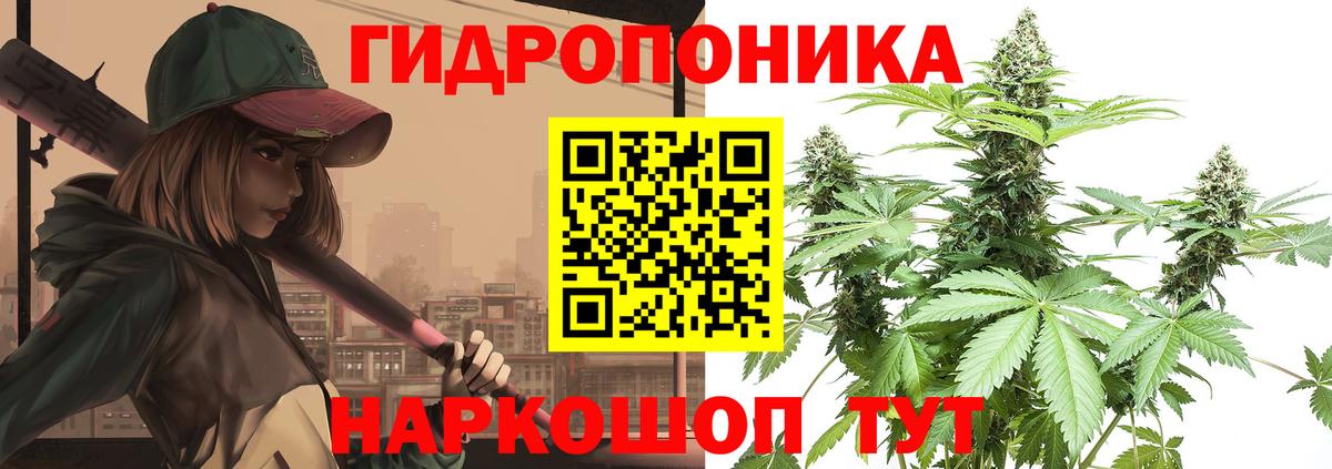 Бошки марихуана MAZAR  МАРИХУАНА конопля  Каннабис план  Вход с VPN  Северодвинск 